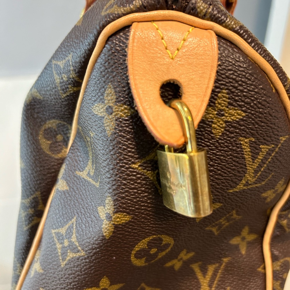 Louis Vuitton bag speedy